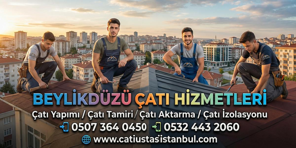 BEYLİKDÜZÜ ÇATI USTASI SERVİSİ