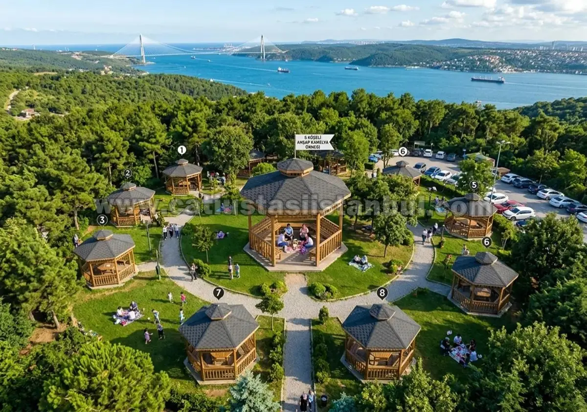 Modern Ahşap Kamelya Tasarımları