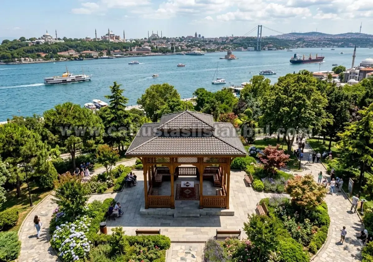 Bahçe İçin Dekoratif Kamelya Modelleri