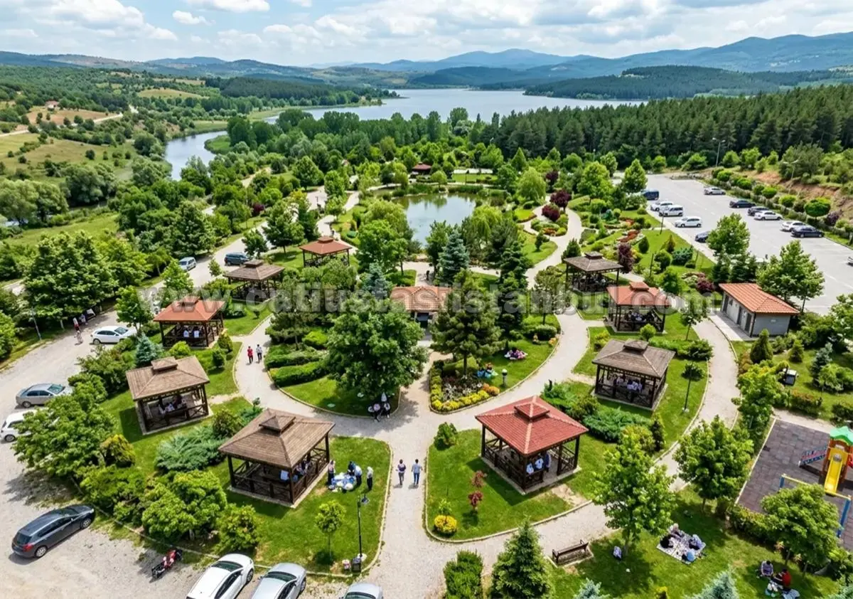 Lüks Kamelya ve Dinlenme Alanları