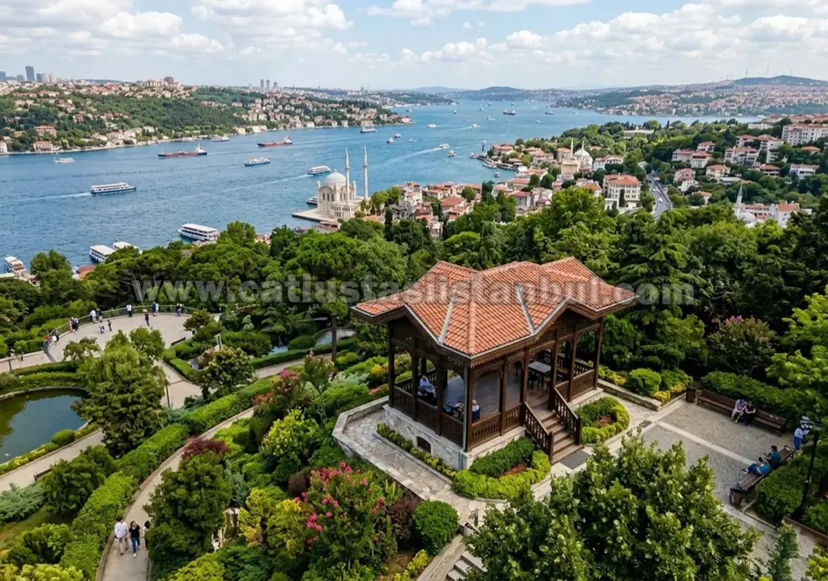 Site İçi Ortak Alan Kamelya Örnekleri