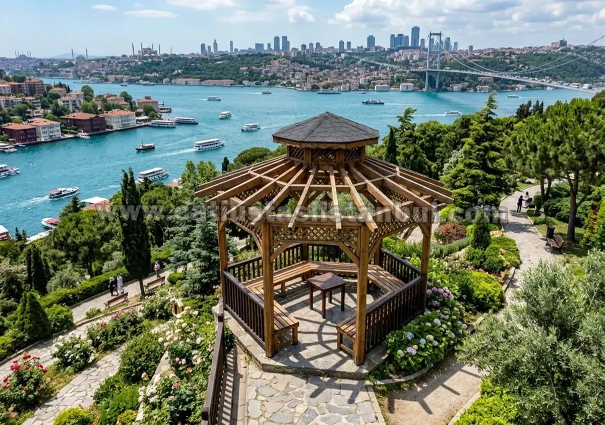 Dayanıklı Dış Mekan Kamelya Modelleri