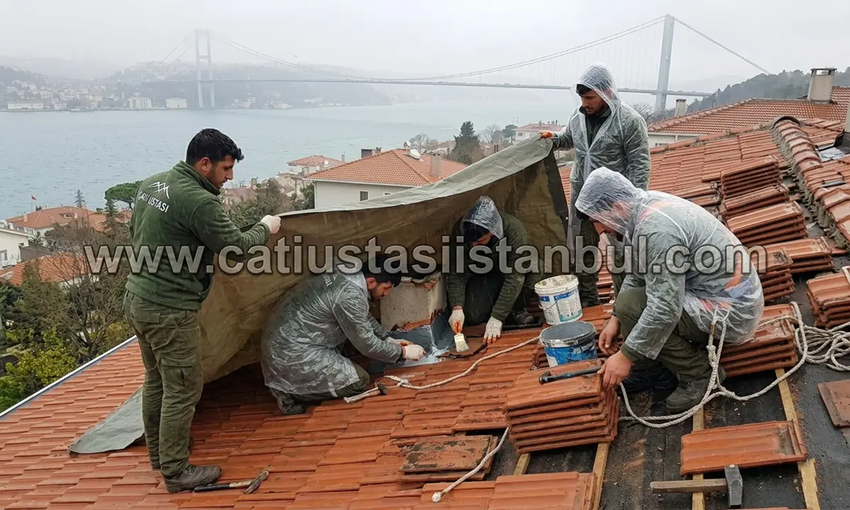 Çatı Kaplama Hizmetleri